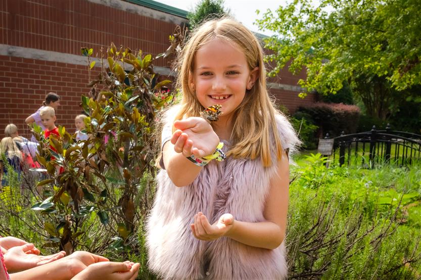 A girl holds a butterfly